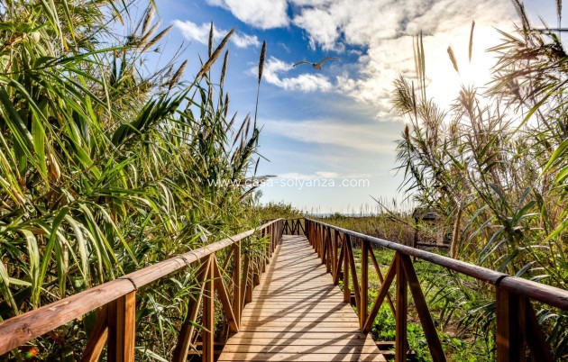 Wiederverkauf - Wohnung - Torrevieja - La Mata
