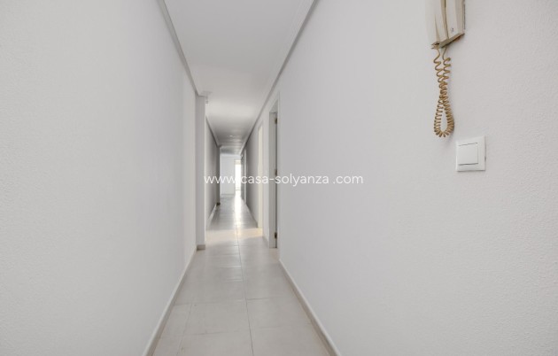 Reventa - Apartamento / piso - Torrevieja - Center