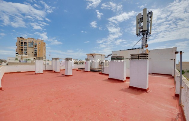 Revente - Appartement - Torrevieja - Playa de los Locos
