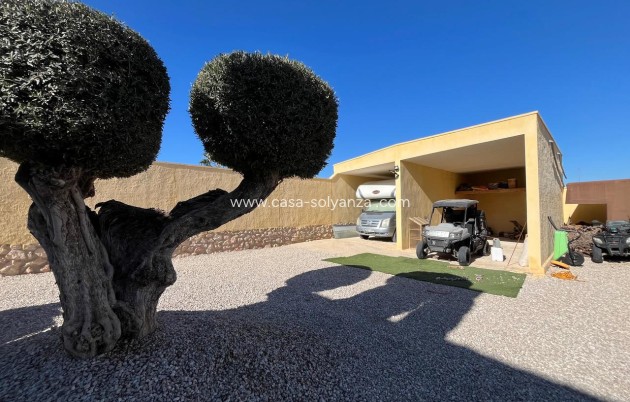 Wiederverkauf - Country Property/Finca - Fortuna