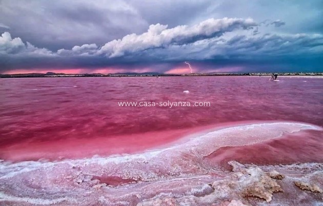 Neue Gebäude - Wohnung - Torrevieja - Center