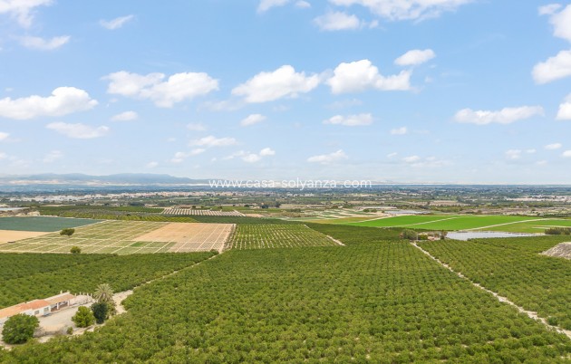 Wiederverkauf - Villa - Algorfa