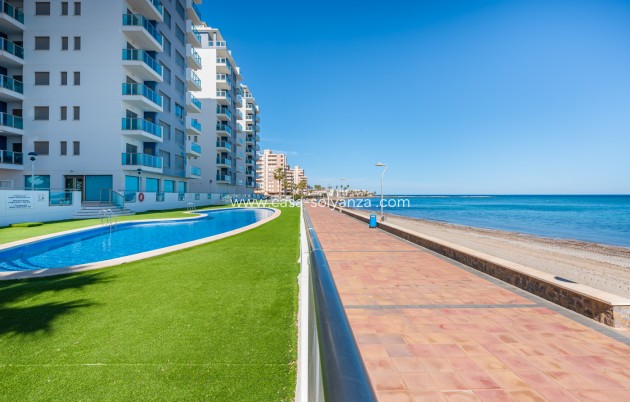 Revente - Appartement - La Manga