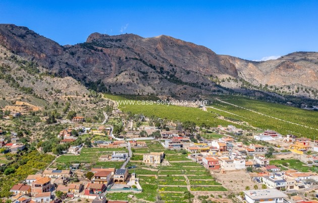 Resale - country estate - Orihuela