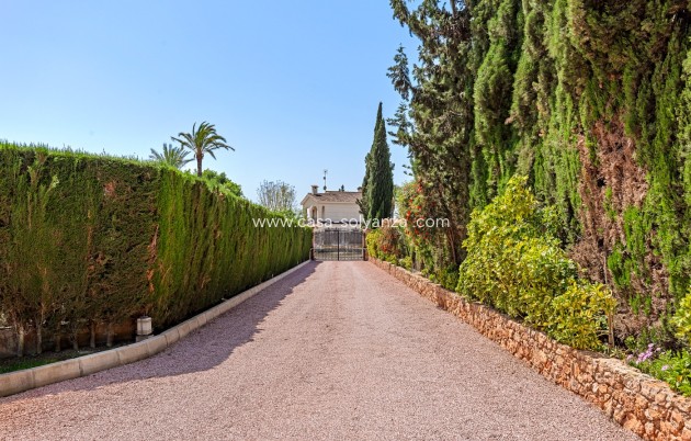 Wiederverkauf - Villa - Elche/Elx