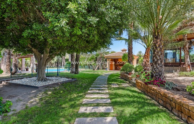 Wiederverkauf - Villa - Elche/Elx