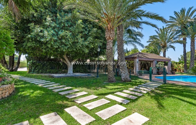 Wiederverkauf - Villa - Elche/Elx