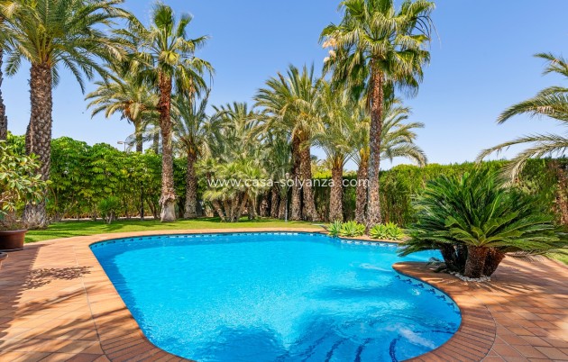 Wiederverkauf - Villa - Elche/Elx