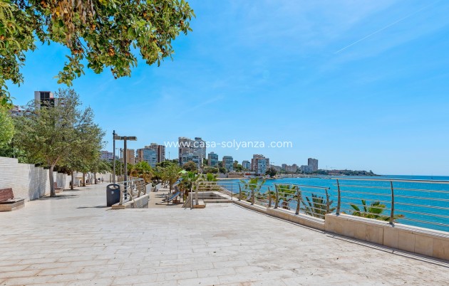 Herverkoop - Appartement / flat - Alicante