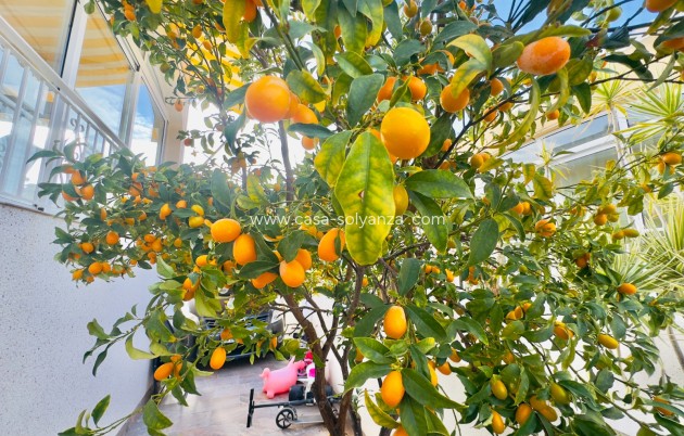 Revente - Villa - Orihuela Costa - Playa Flamenca