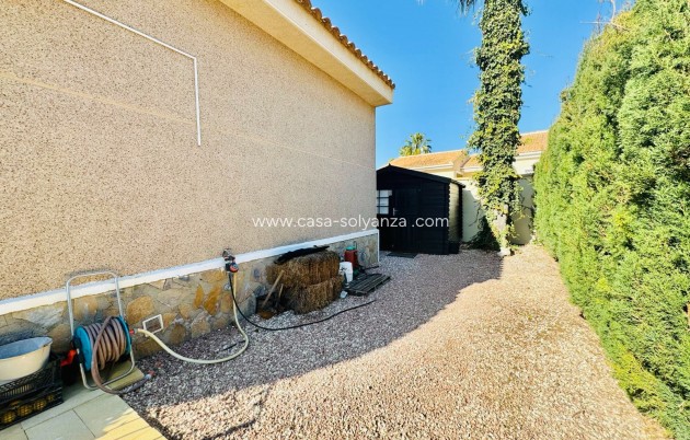 Revente - Villa - Benijofar - Centro