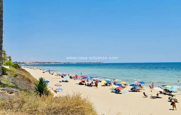 Revente - Bungalow - Pilar de la Horadada - Mil Palmeras