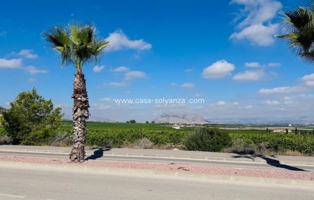 Wiederverkauf - Wohnung - Algorfa