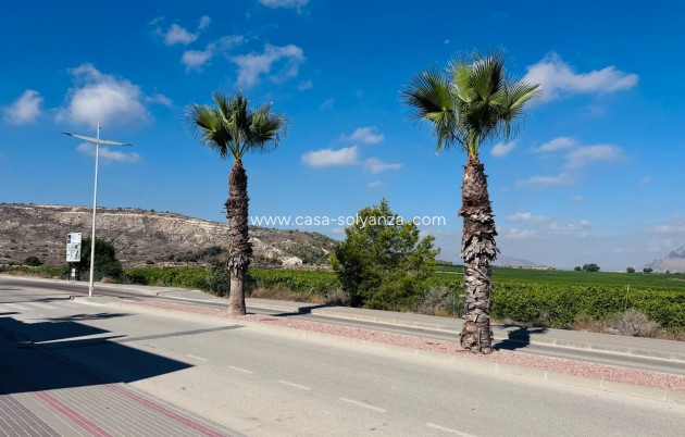 Wiederverkauf - Wohnung - Algorfa