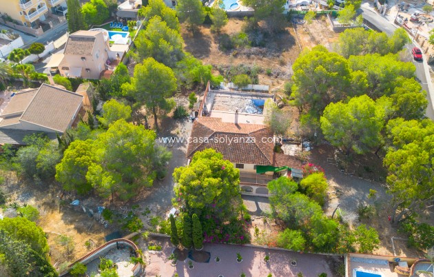 Resale - Land - Algorfa