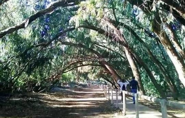 Nouvelle construction - Bungalow - Torrevieja - Altos del Sol