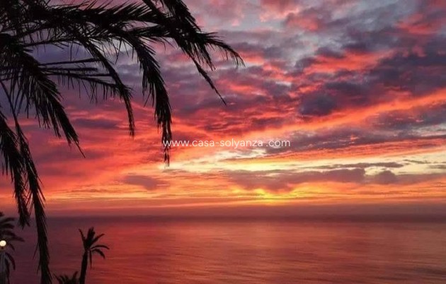 Nouvelle construction - Bungalow - Torrevieja - Altos del Sol