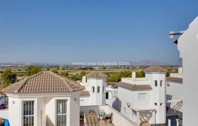 Nouvelle construction - Villa - San Fulgencio - El Oasis