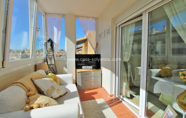 Revente - Villa - Villamartin - Villamartín