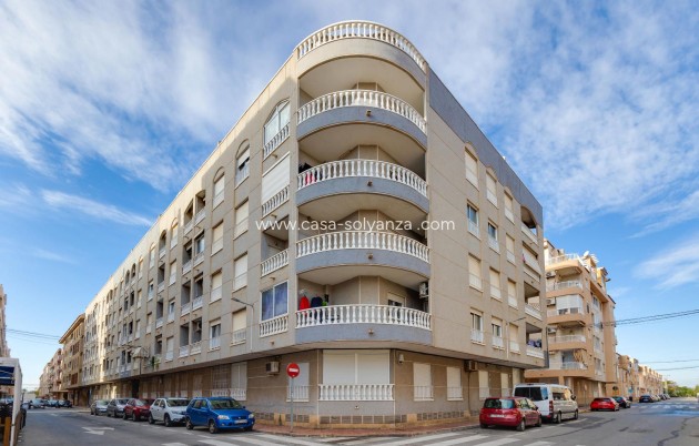 Herverkoop - Appartement / flat - Torrevieja - Acequion
