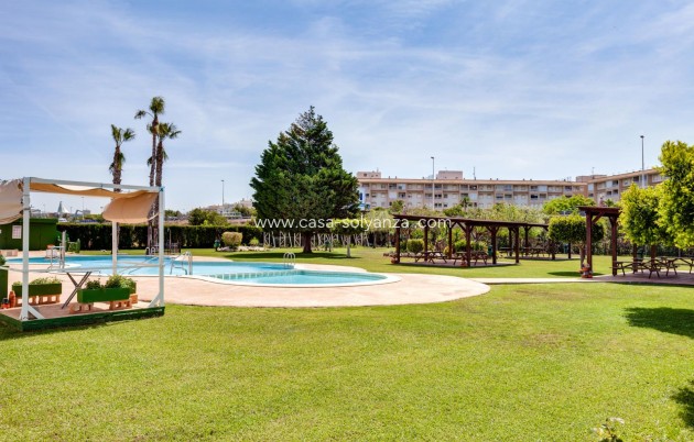 Revente - Bungalows Planta Alta - Torrevieja - PARQUE DE LAS NACIONES