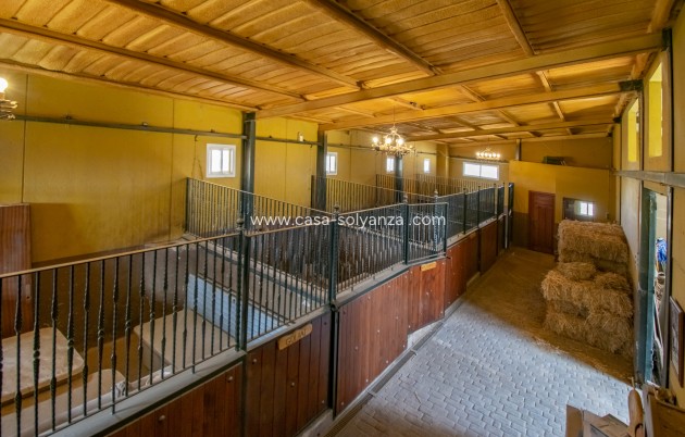 Revente - Villa - El Beal - Inland