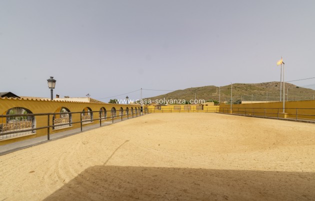 Revente - Villa - El Beal - Inland