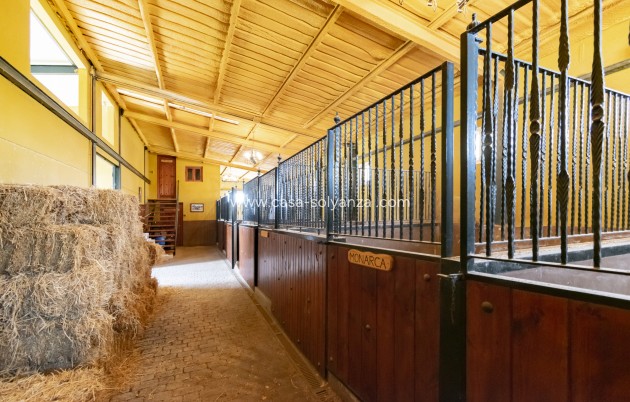 Revente - Villa - El Beal - Inland