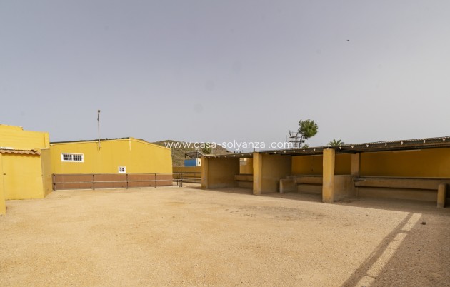 Revente - Villa - El Beal - Inland