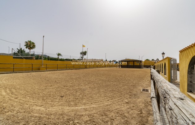 Revente - Villa - El Beal - Inland