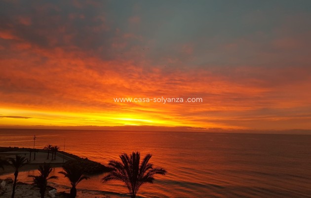 Revente - Appartement - Torrevieja - Playa del Cura