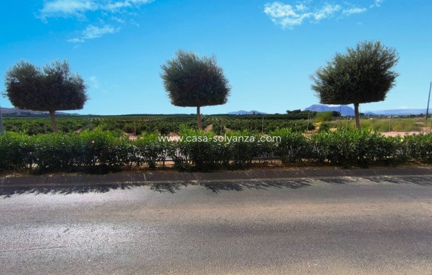 Resale - Apartment / flat - Algorfa