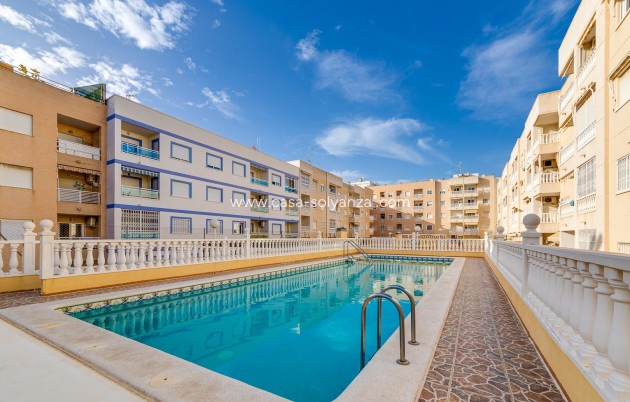 Reventa - Apartamento / piso - Torrevieja - Center