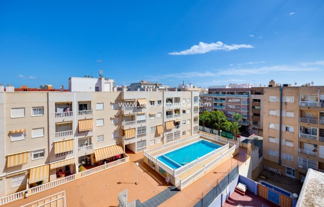 Reventa - Apartamento / piso - Torrevieja - Center
