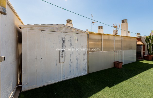 Resale - Apartment / flat - Torrevieja - Beach