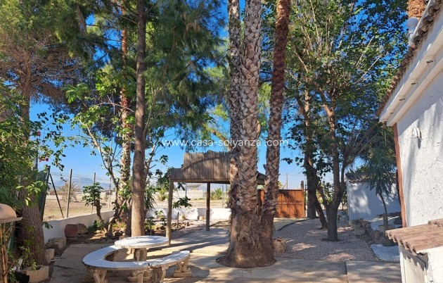 Reventa - Country Property/Finca - Orihuela