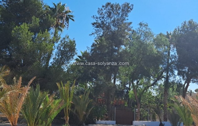 Reventa - Country Property/Finca - Orihuela