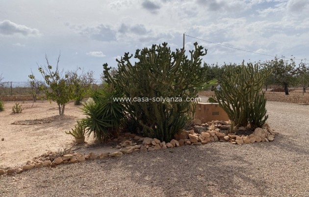 Revente - Villa - Fuente Alamo