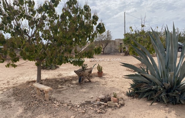 Revente - Villa - Fuente Alamo