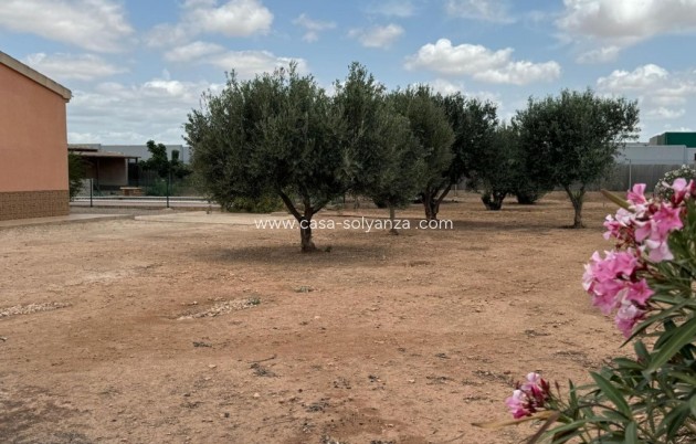 Revente - Villa - Fuente Alamo