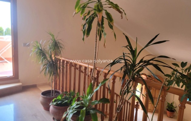 Revente - Independent villa - Torrevieja - Aguas nuevas