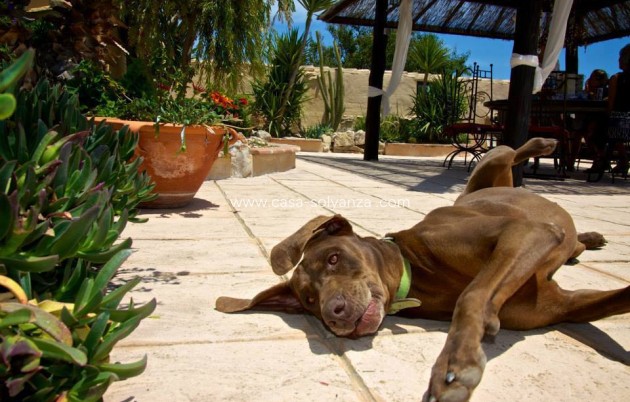 Revente - Country Property/Finca - Benisa - Costa Blanca