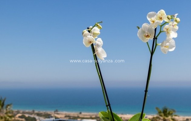 Nouvelle construction - Appartement - Santa Pola - Gran Alacant