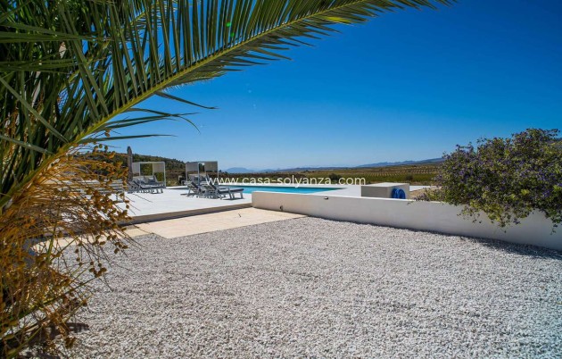 Wiederverkauf - Villa - Pinoso - Inland