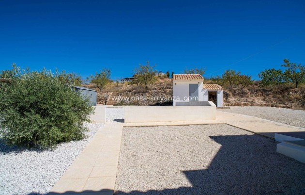 Wiederverkauf - Villa - Pinoso - Inland