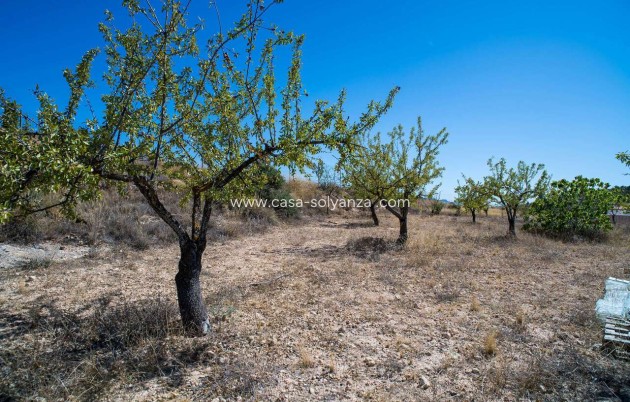 Wiederverkauf - Villa - Pinoso - Inland