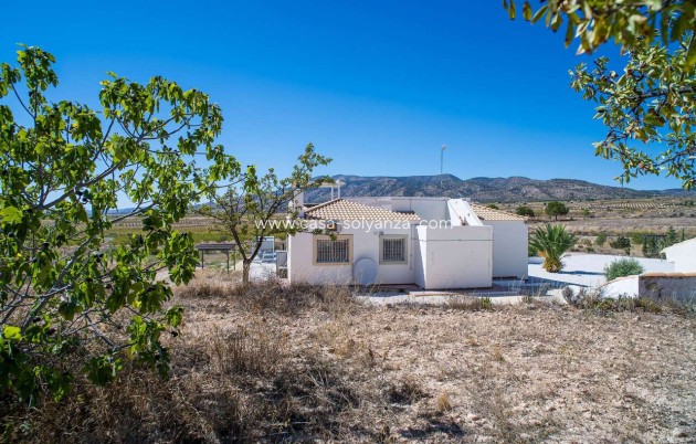 Wiederverkauf - Villa - Pinoso - Inland