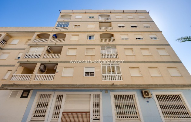 Revente - Appartement - Guardamar del Segura - Pueblo