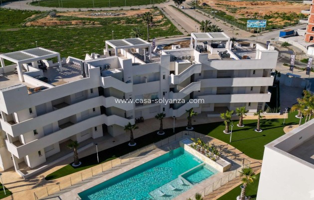 Obra nueva - Apartamento / piso - Guardamar del Segura - El Raso