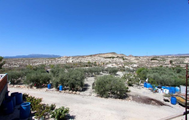 Resale - Villa - Albudeite - Inland